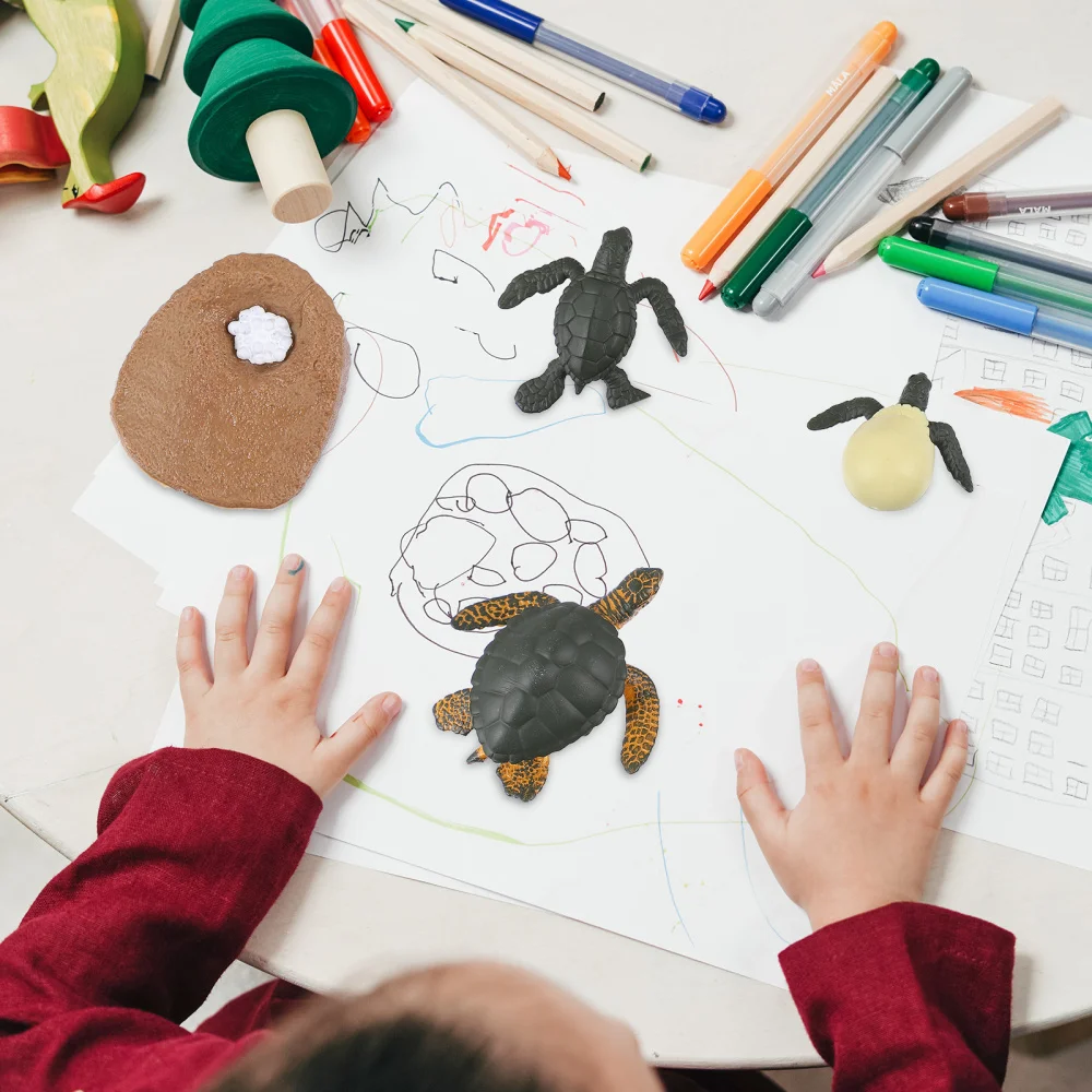 

1 Set/4pcs Simulation Sea Turtle Life Cycle Model Cognitive Model for Kids