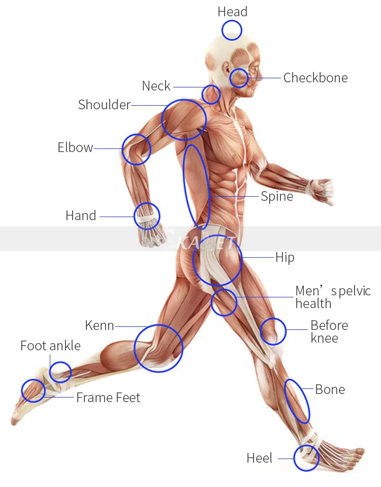 Эффективная физиотерапия система акустическая Ударная Волна