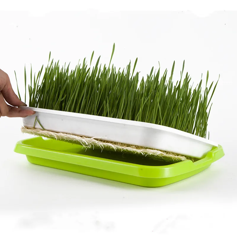 Гидропоника овощей поднос для рассады Sprout инструмент Soilless культивирование