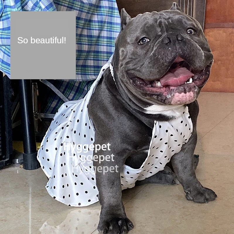 Одежда для собак Тедди fadou bully наряд маленьких и средних модный бренд милые летние