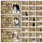 Металлическая вывеска Kelly66, собаки хаски, Басенджи, колли, великие Пиренеи, Сиба-ину, домашний декор, настенная живопись для бара, размер 20x30 см Dy139