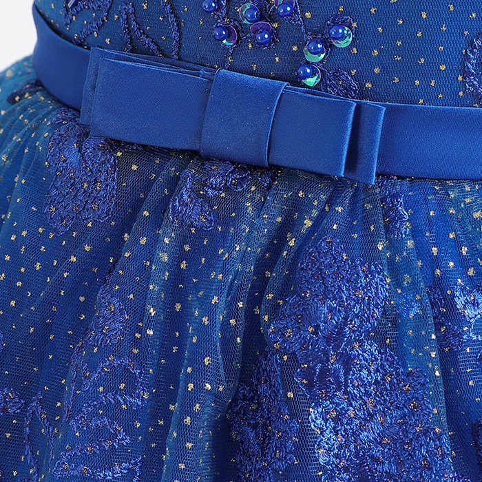 Новое платье для девочек кружевная вышитая юбка Одежда свадьбы дня рождения