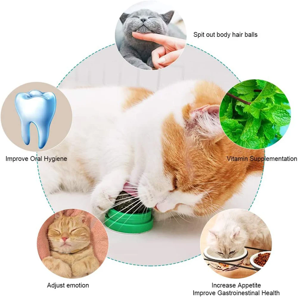 Набор мячей для кошачьей мяты безопасные мячики зубов мячи игрушки кошек зубная
