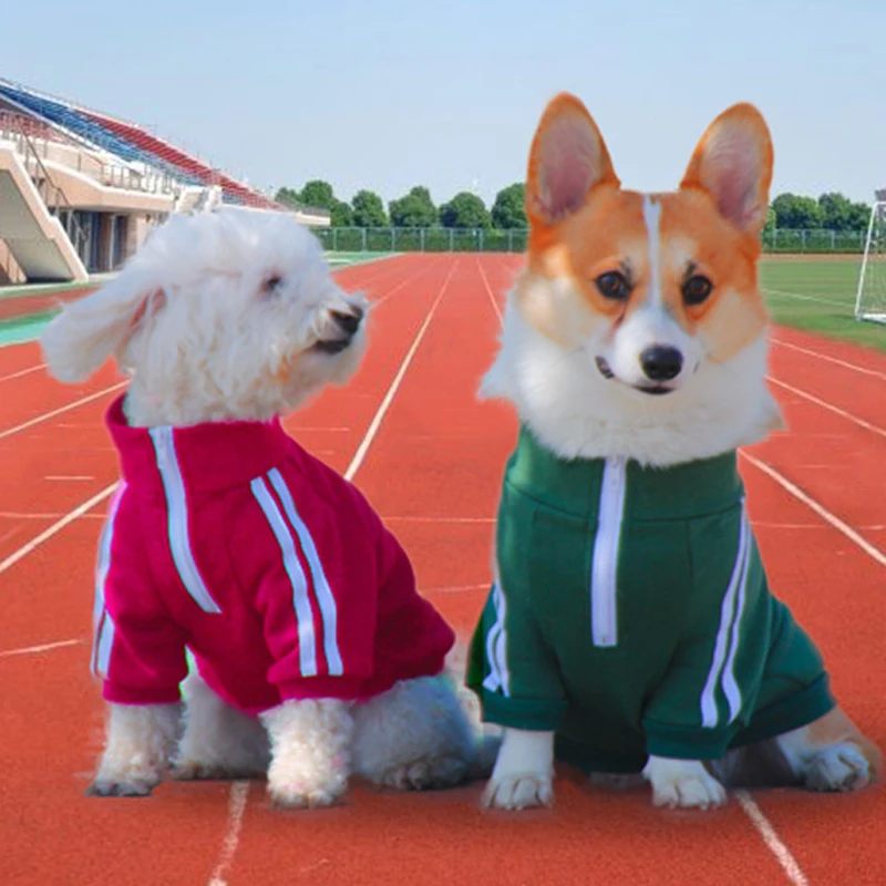 Хлопковые худи для домашних собак весенний спортивный костюм одежда мопса с