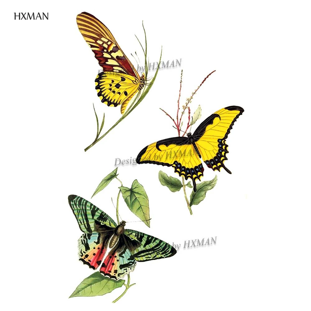 HXMAN бабочка Временные татуировки стикер животных для женщин Мода боди арт