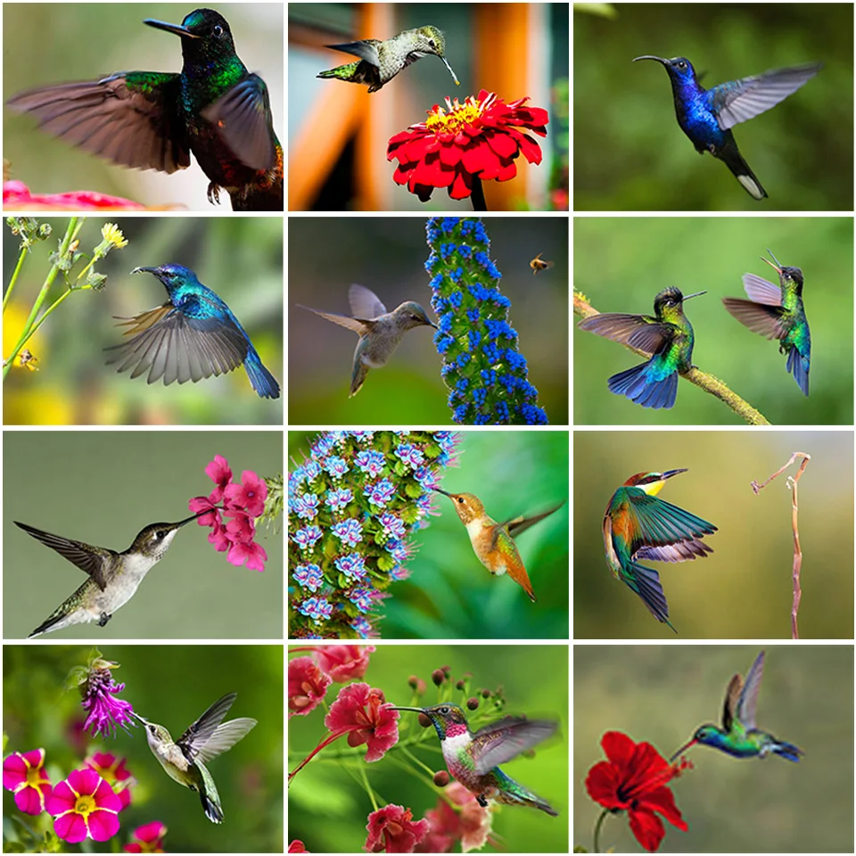 

5D DIY Diamond Painting Bird Animals Full Drill Square Cross Stitch Landscape Flower Diamond Mosaic Full Layout Wall Decoration