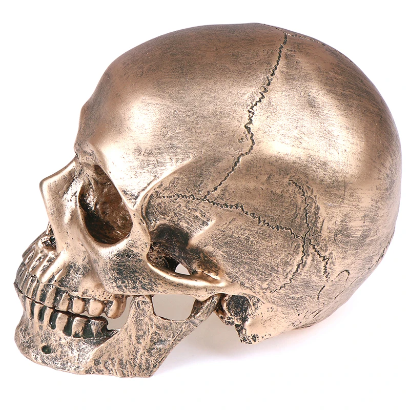 Bronze Resin Skull Model Painting Medical Sculpture Statue Crafts Halloween Home Decoration | Дом и сад