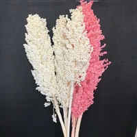 about 140gthe ear of 15 25cmdried natural flowers real sorghum flower bouquetdry eterna grain sorghum for home decor