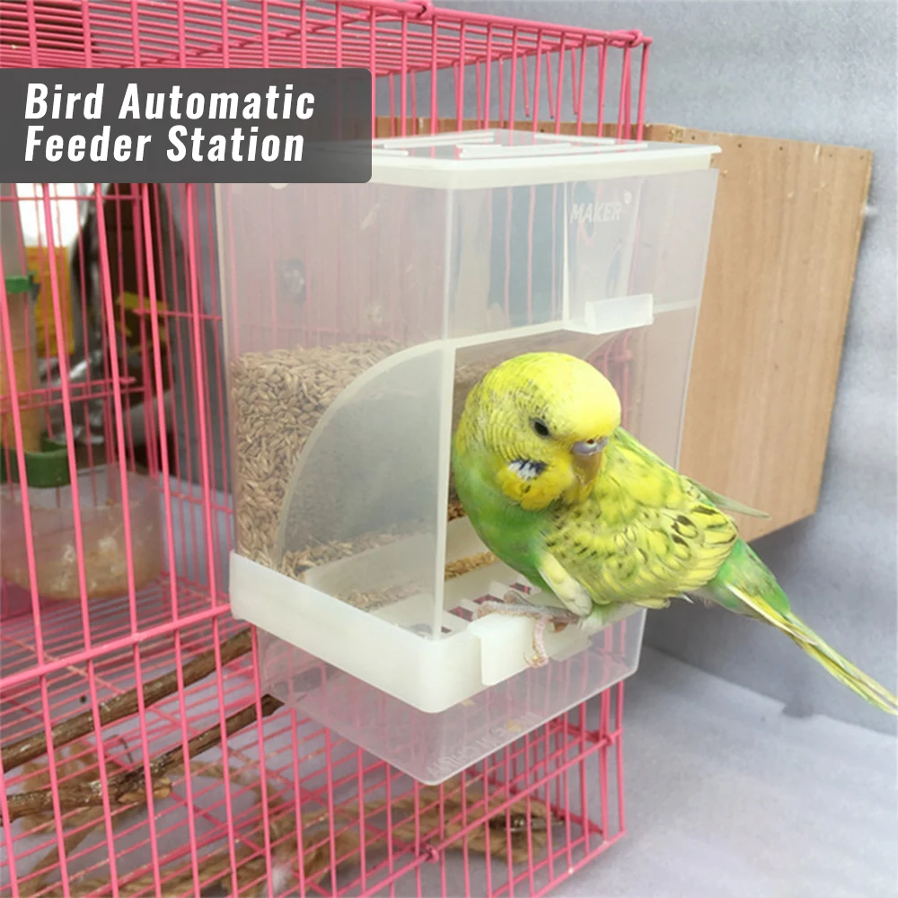 Автоматические Домашние любимцы птицы Попугай корм для домашней короб кормления