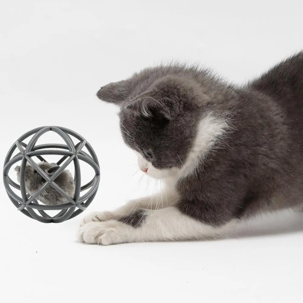 Универсальный роликовый мяч для котят игрушечный легкой чистки цветной