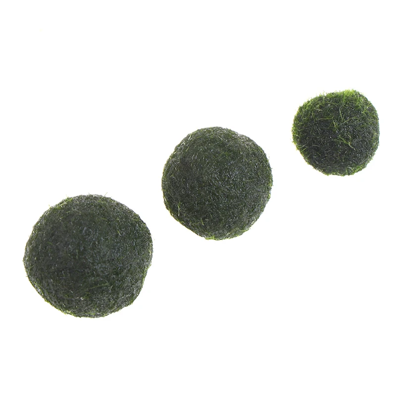 Япония натуральная аквариум мяч озеленение 1 см хлорелла водорослей Marimo Happy