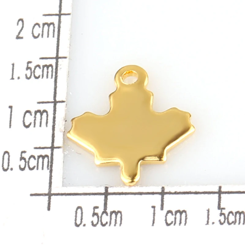 

20pcs Stainless Steel Leaf Pendant Bracelet Necklace Earring Decoration Leaf Plant Charm Pendant DIY Handmade Jewelry Making