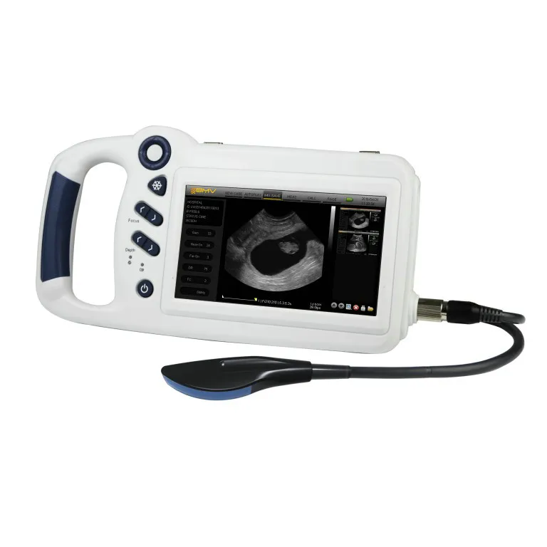 L80 cheap portable scanner Linear/Curve Vet ultrasound