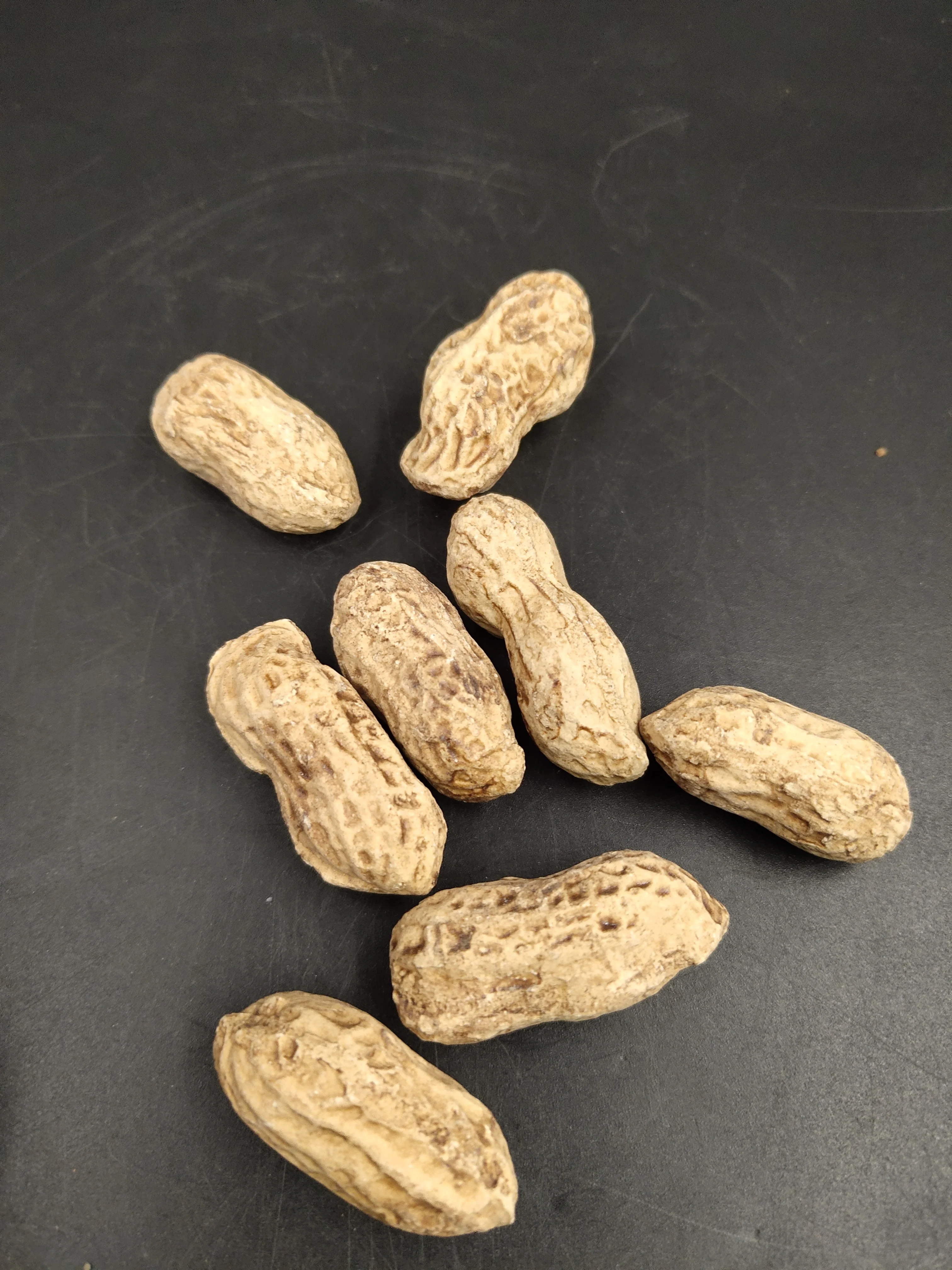 

10 шт. ручная имитация арахисового чая, украшения для домашних животных