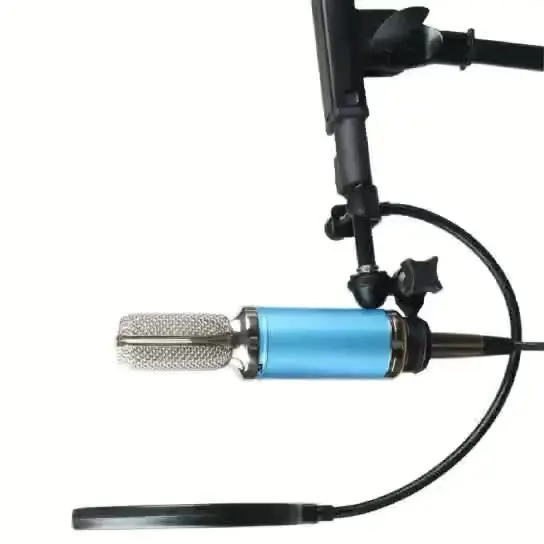 

Большой конденсаторный микрофон Isk RM12, алюминиевая лента, якорное оборудование для компьютера, студийный профессиональный микрофон