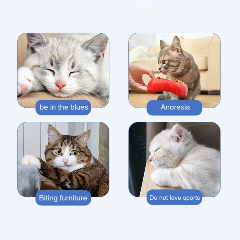 

Pet Products