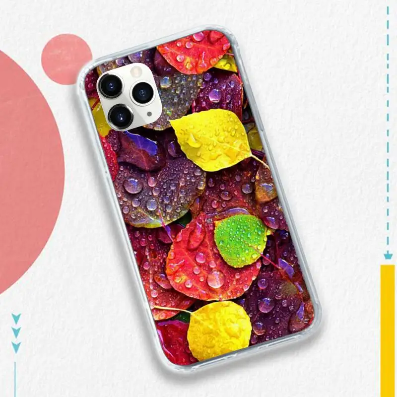 

Ladybug leaf color plant universal painting Phone Case for iPhone 11 12 pro XS MAX 8 7 6 6S Plus X 5S SE 2020 XR