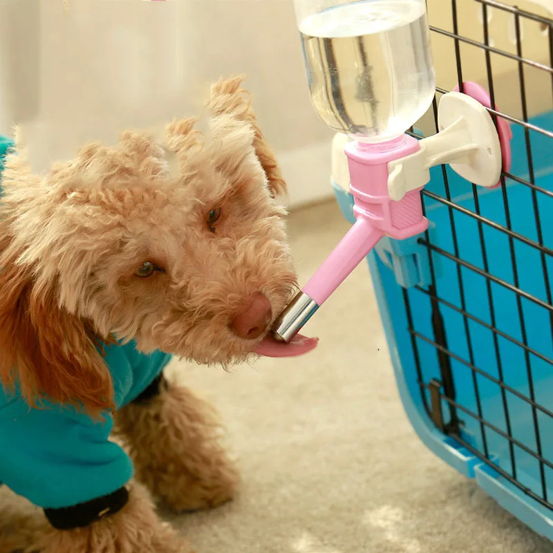 

Cat Dog Pet Drinking Water Interface Silicon Stainless Steel Practical Drinking Water Domestic Pet Drinking Water Auction