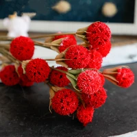 natural dried flowers real passepartout maple fruit plants 1 bundle diy wedding arrangement home decoration photo props