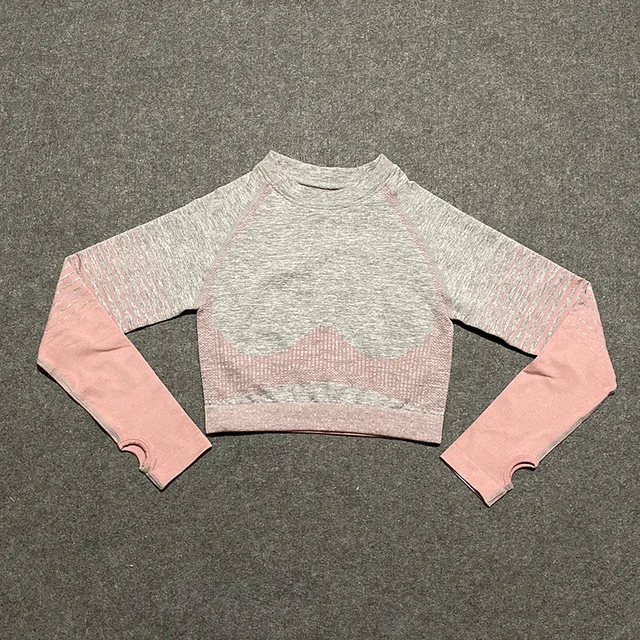 Pink top 2 шт., бесшовный комплект для йоги с эффектом омбре, женские укороченные топы с длинным рукавом, высокая талия, контроль живота, спортивные Леггинсы, спортивный костюм для спортзала, одежда для фитнеса - Цвет: Pink top