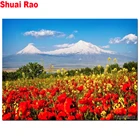 Алмазная вышивка с изображением Маков на фоне горы Арарат, Алмазная мозаика, полноразмерная круглая картина из страз 5 d с мотивом пейзажа,