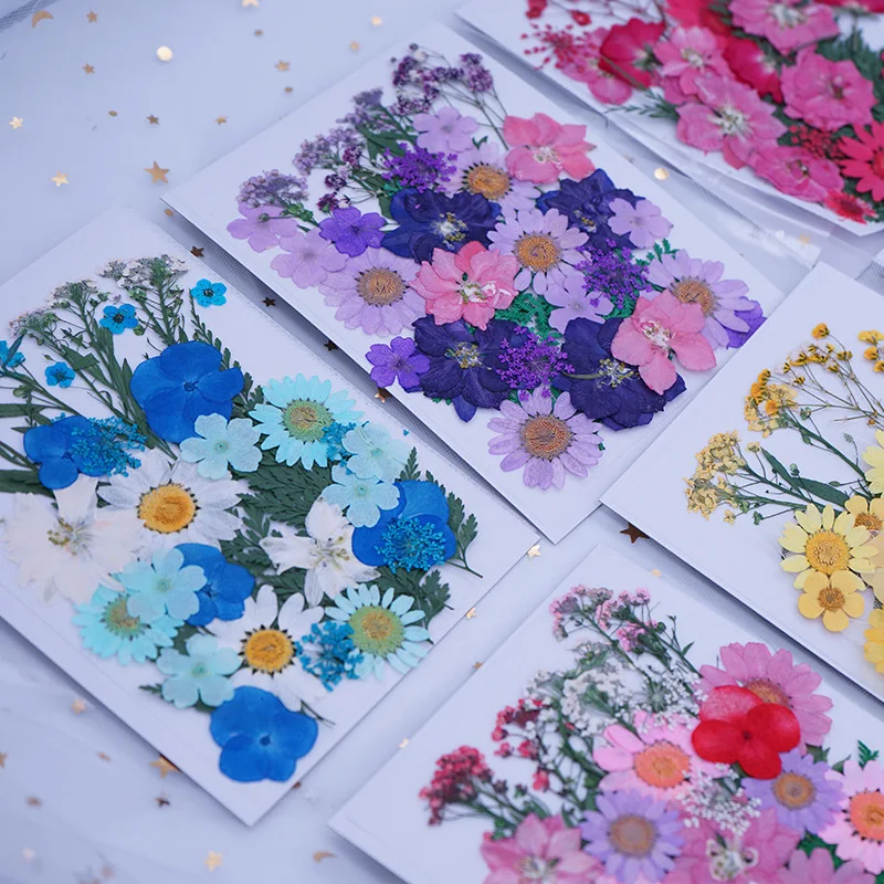 

Dyed Natural Hydrangea Dried Flower Glue Phone Case Pressed Flower Specimen Frame Material Home Wall Wedding Decor
