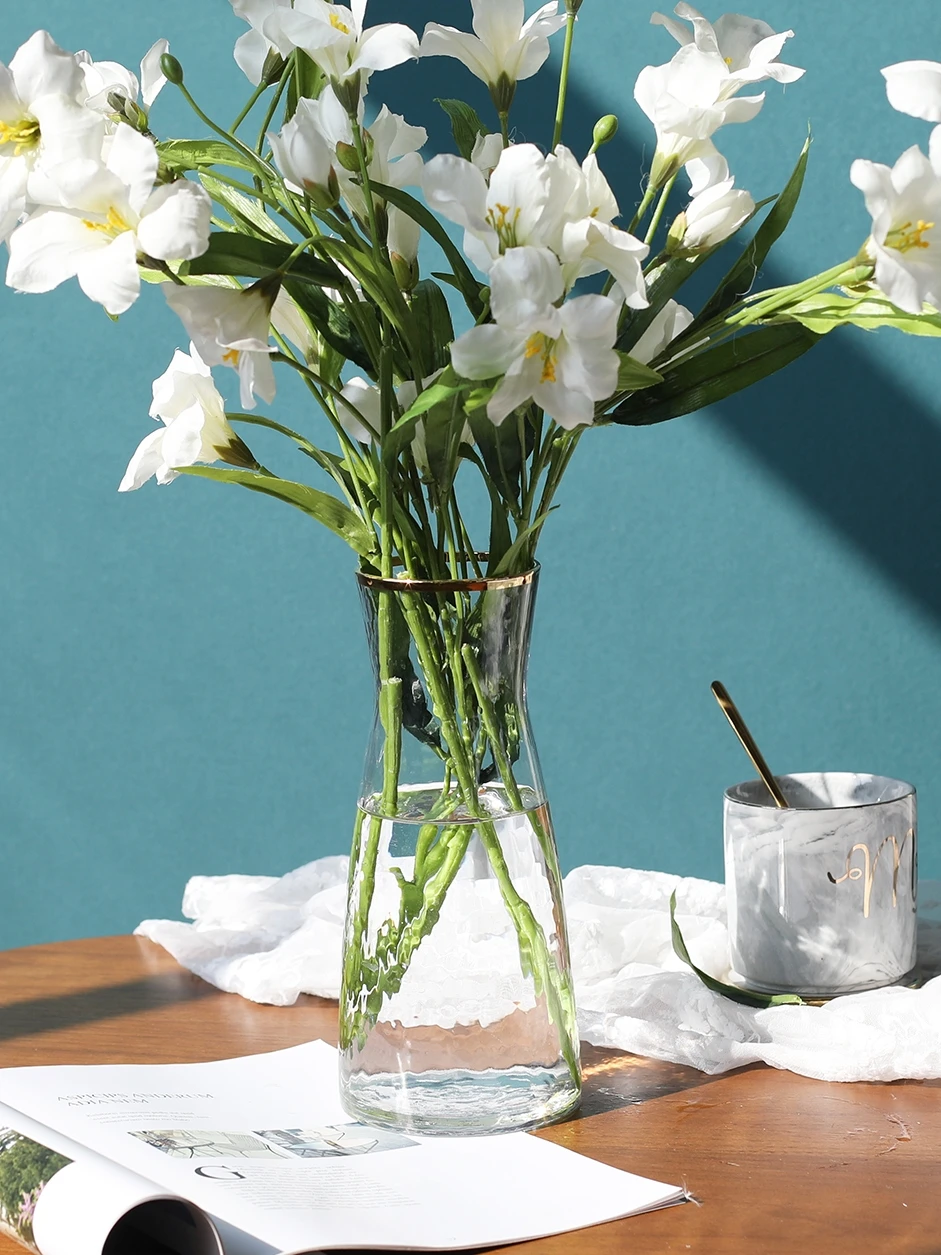 Креативная стеклянная ваза с узором молотка Террариум гидропонные системы цветы