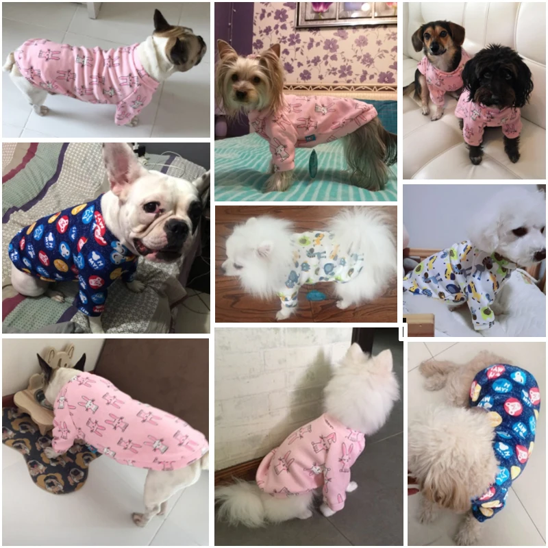 Мультяшная весенне осенняя одежда для домашних животных собак кошек Женская