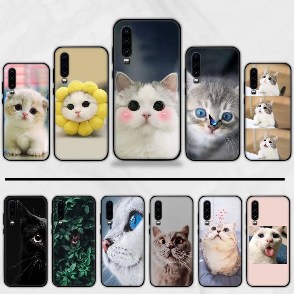 Мягкий милый блестящий чехол для телефона с изображением кошки и животных Huawei Y5 Y6