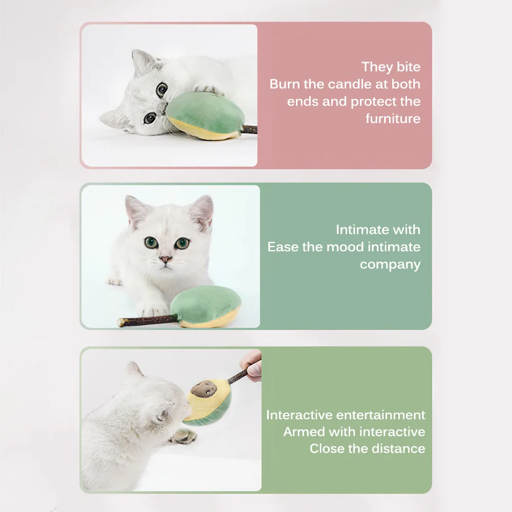 

Fruit Set Boxed Natural Catnip Pet Cat Molar Toothpaste Fruit Cat Snack Bar Pet Cleaning Teeth Safety Environmental Protection