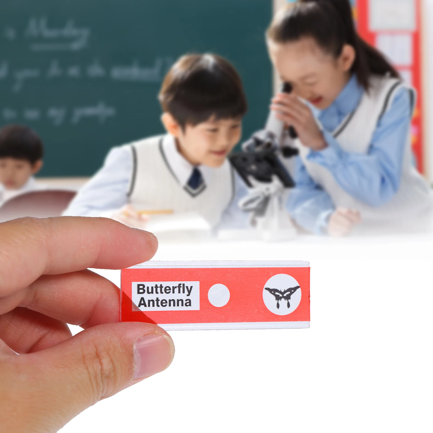 12 шт. слайды подготовленные для микроскопа образец животных насекомые растения