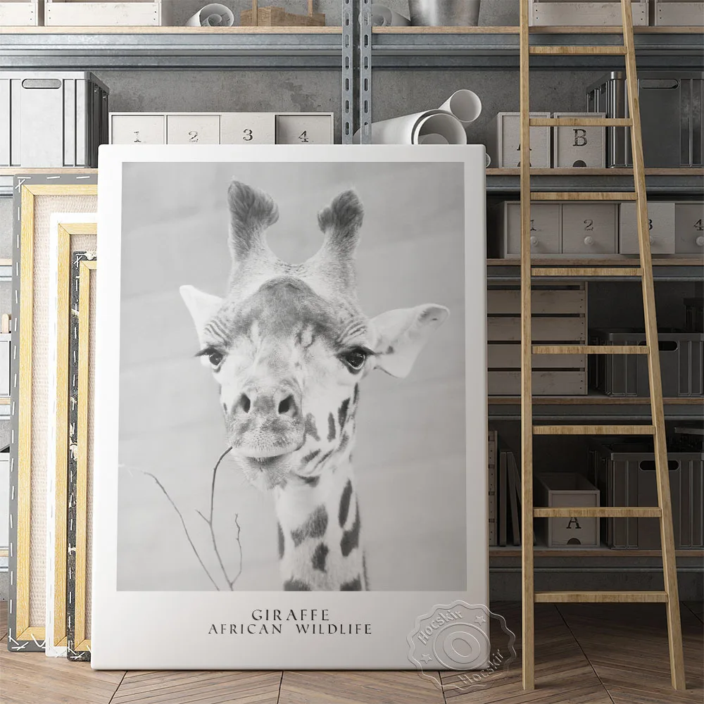 

Giraffe African Animal Poster, Black White Animal Prints Art, Funny Giraffe Wall Art Picture, Nursery Kids Baby Room Home Decor