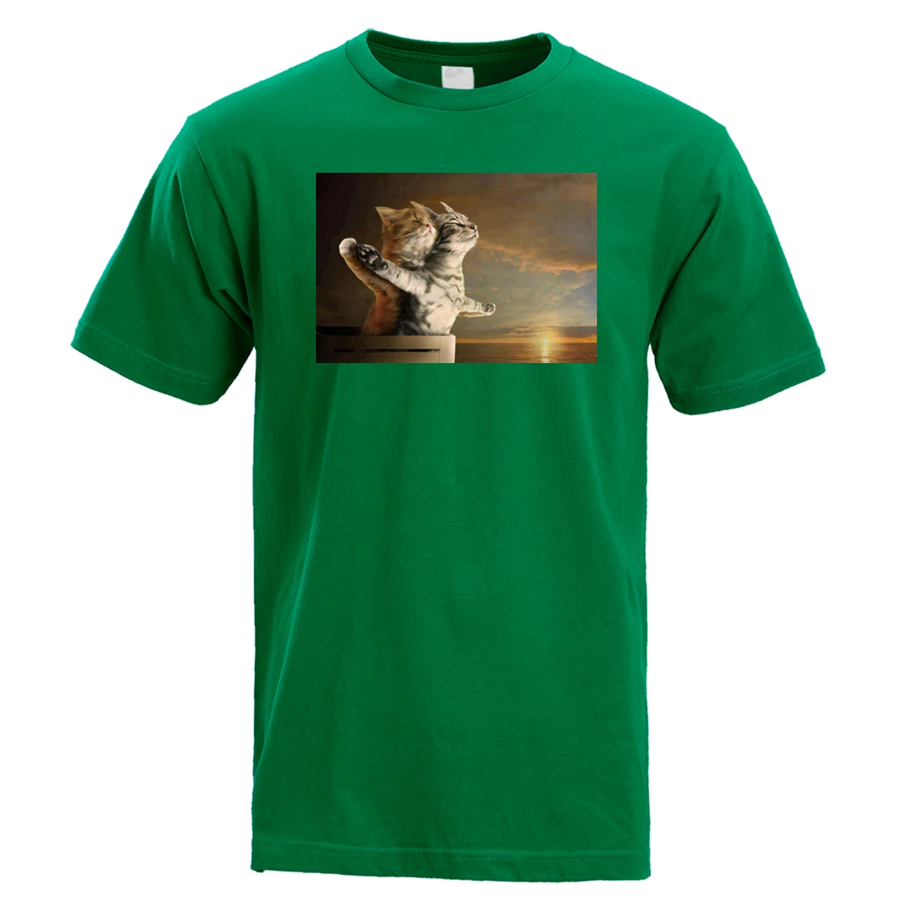 Забавная Мужская футболка из фильма &quotТитаник&quot классическая сцена кот против