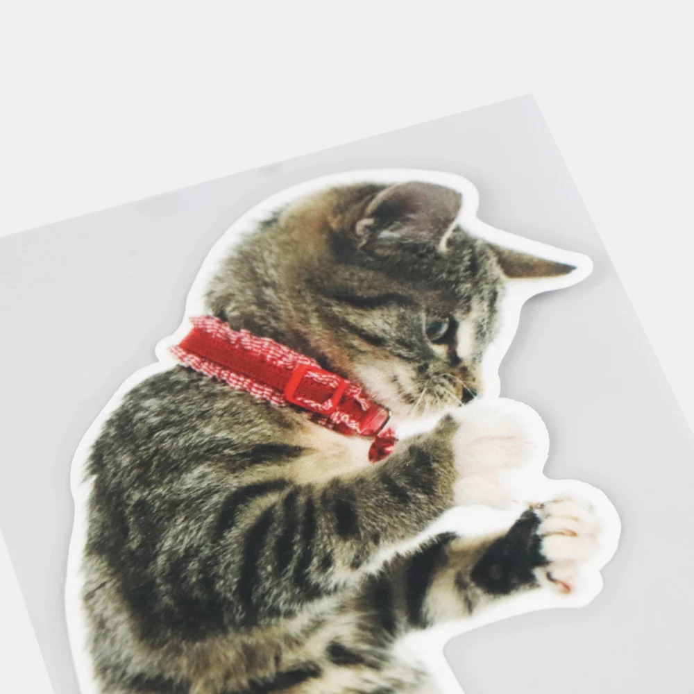 

YJZT 1017.8CM Cute Standing Playing Cat Funny Animal Body Decoration Car Stickers Accessories 21A-0580