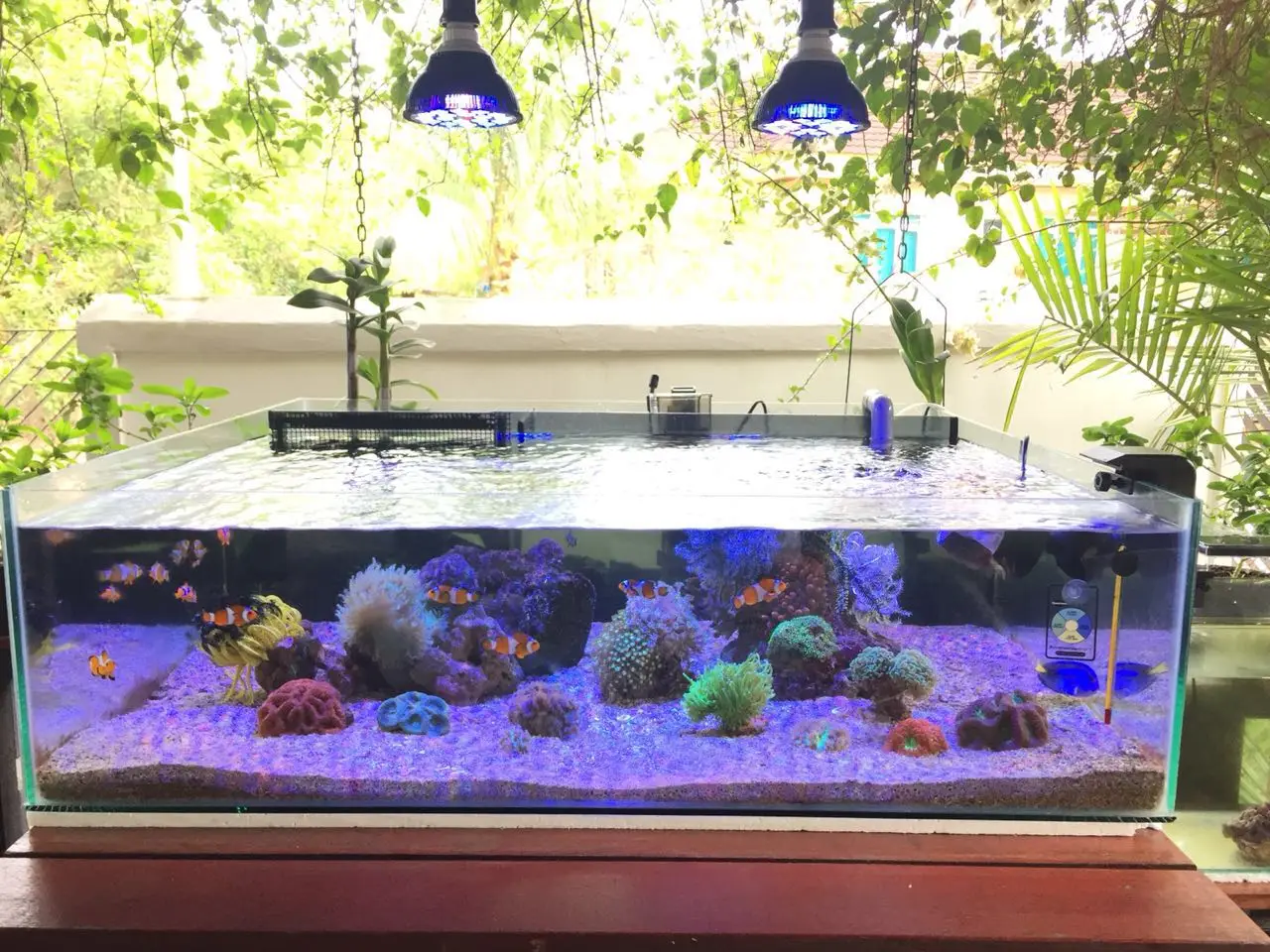 Светодиодная аквариумная лампа с полным спектром Par 38 E27 для коралловых рифов рыб