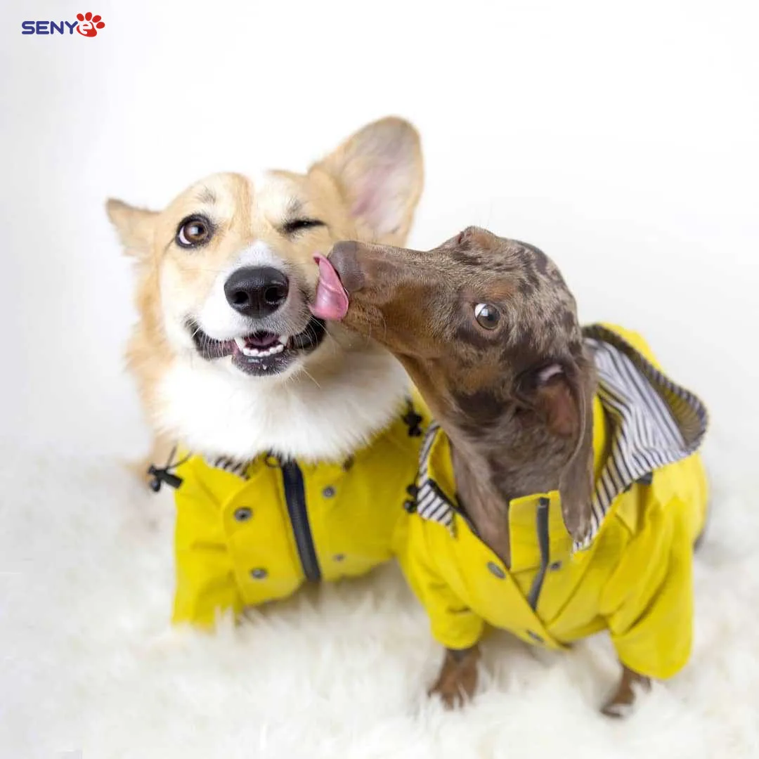 

Взрывобезопасный модный бренд ветрозащитный и непромокаемый Британский Ретро мягкий дождевик для собак Жилет Куртка для домашнего питомца ветрозащитный питомец