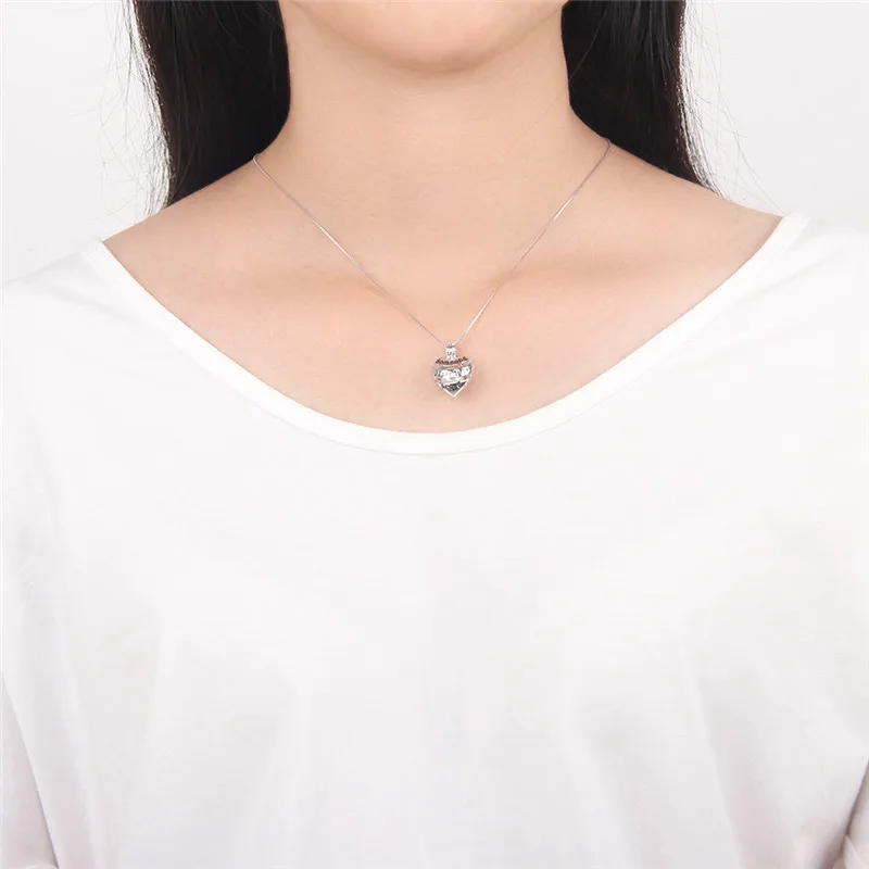 Ювелирные изделия CLUCI из стерлингового серебра 925 пробы для женщин подвеска в