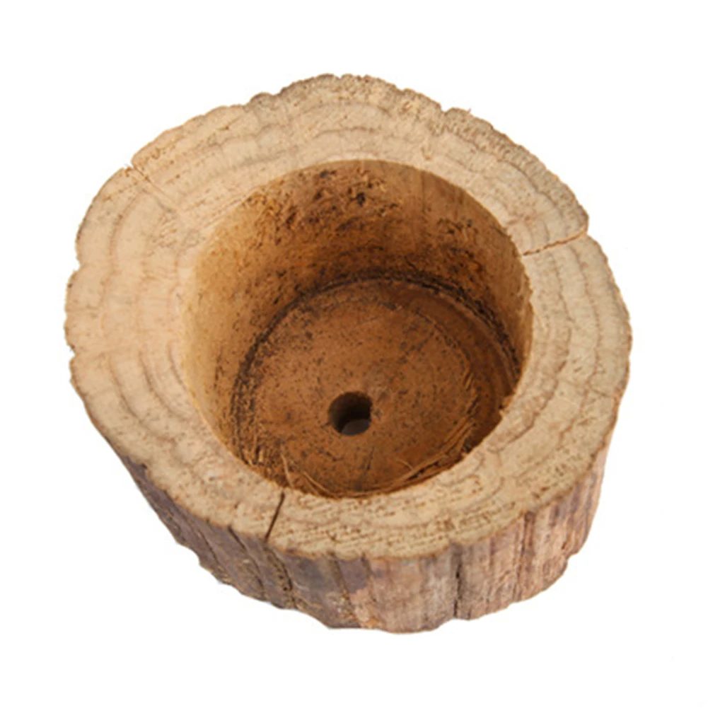 

Succulent Plant Pot Wooden Flower Pot Cactus Container Planter Hollow Wood Stake Shape for Home Tabletop Decor Various Available