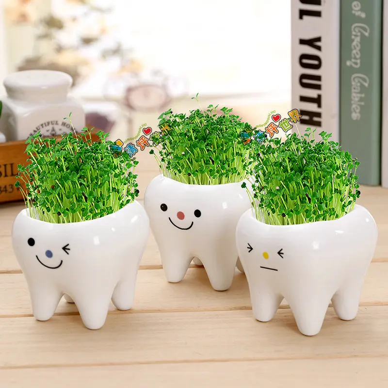 Cute Tooth Pot Vase Creative Ceramic Cartoon Flower Succulent Home Decoration Crafts Dental Clinic Gift Toy | Дом и сад