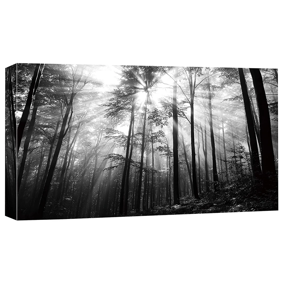 

Large Black White Tree diamond painting Full Square Round 5d Diy diamond embroidery landscape Picture,Living Room Decor,