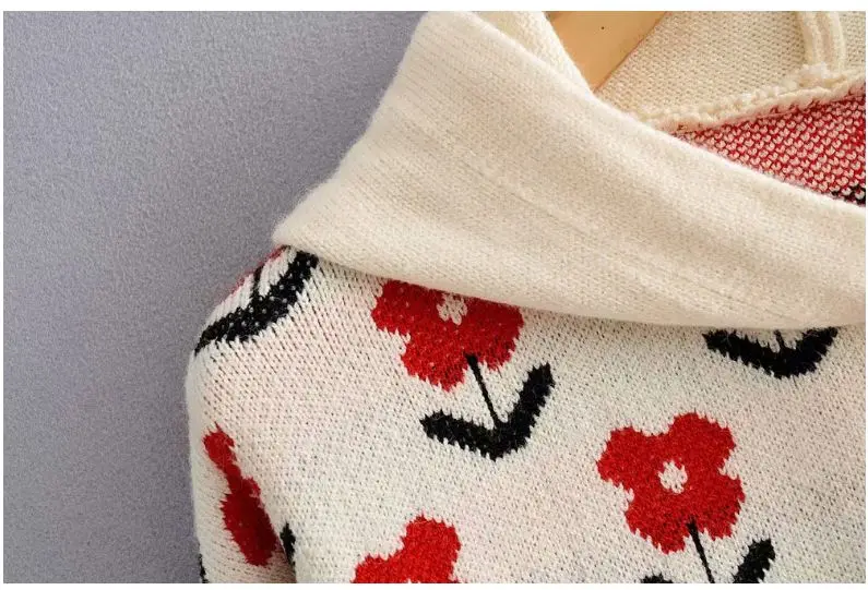 

HCBLESS Women's 2019 autumn and winter new lazy wind small flowers loose hooded hooded sweater