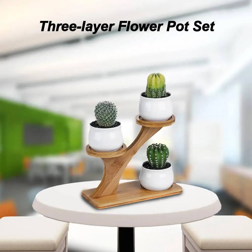 Белая инновационная ваза для суккулентов Treetop Бамбуковая рама комбинированный