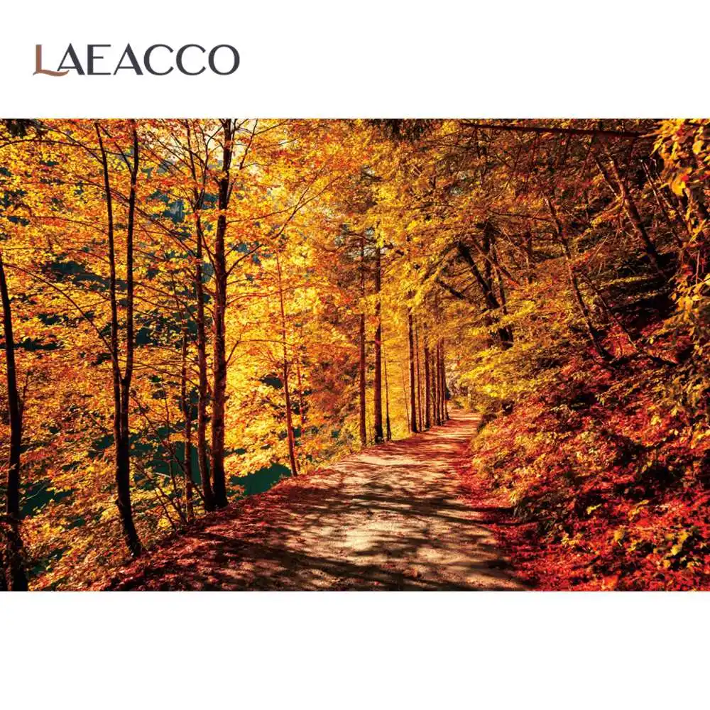 Фотофон Laeacco для фотостудии с осенним деревом упавшими листьями детским