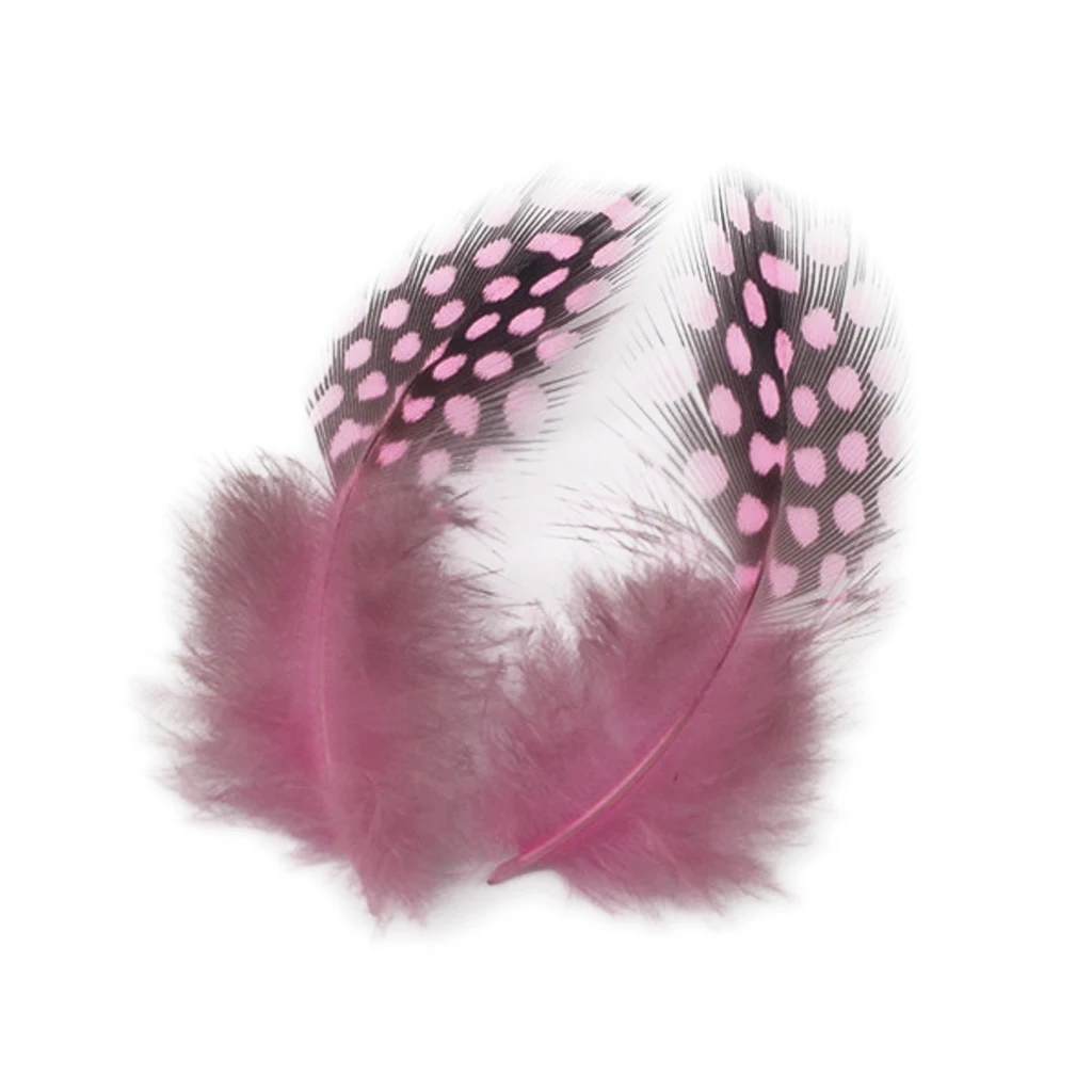 50PCS Beautiful Lots Dyed Guinea Hen Feather Chicken Feathers Craft Decoration Colourful Pheasant Rooster |