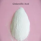 50 г гибберелловая кислота GA33Gibberellin GA3Gibberellic кислота регулятор роста растений по низкой цене