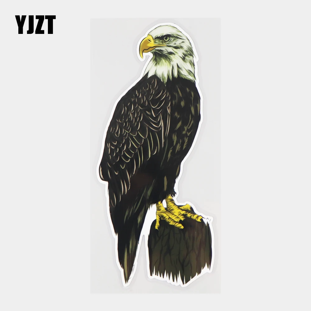 

YJZT 9×21.2CM Hand Drawn Eagle Animal Cartoon Car Sticker Funny Body Decoration Vinyl Decals 21A-1314