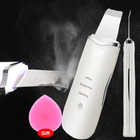 ultrasonic cleaning blackhead remover skin scrubber peeling vibration exfoliating pore cleaner skin care beauty instrument tools