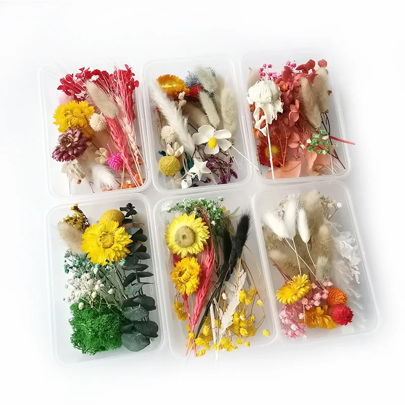 

1 Box Colorful Random Real Dried Natural Flowers Dry Plants For Making Craft Pressed Flowers DIY Jewelry Accessories Home Decor
