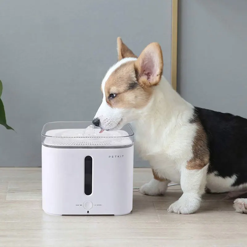 PETKIT автоматический питомец кошка фонтан Электрический Собака Кошка питомец немой поилка питатель миска питатель для домашних животных диспенсер для питьевой воды
