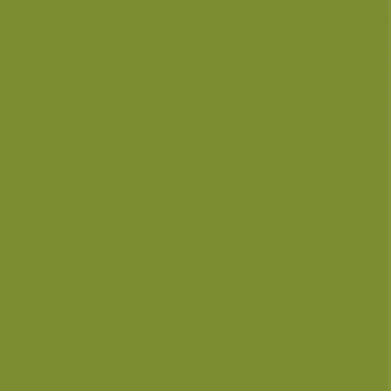 Thick Army Green Зимняя модная Новая высококачественная шуба из искусственного бархата, длинная шуба, Женская свободная Толстая теплая норковая шуба - Цвет: Thick Army Green
